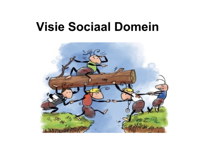 Vraag: Pilot sociaal loket 80.000 €