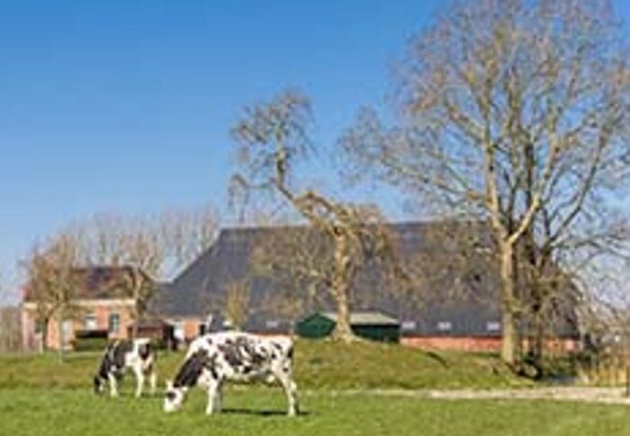 Vraag: Evaluatie geurbeleid