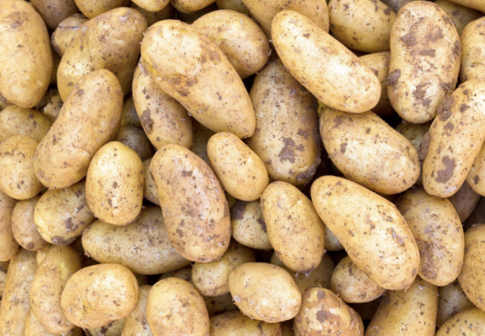 In de media: Zesduizend ton aardappelen doen – letterlijk en figuurlijk – stof opwaaien in de Mortel